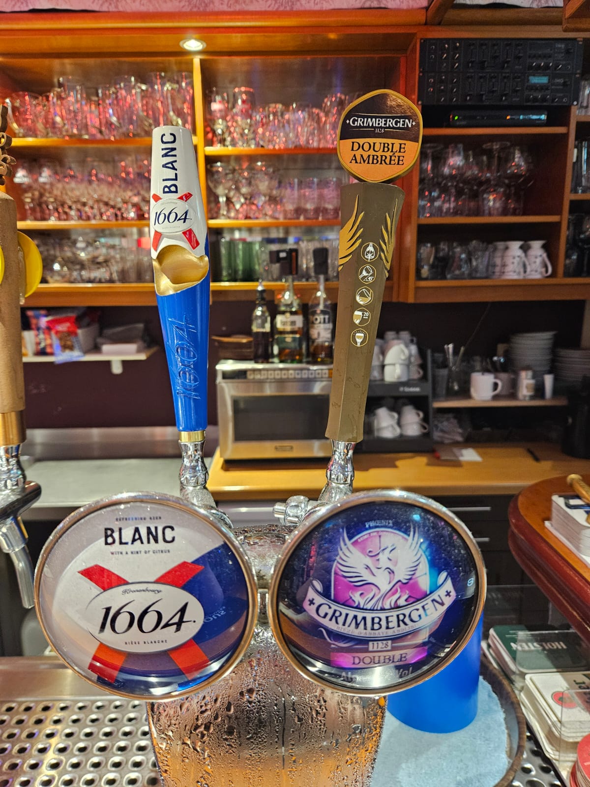 WhatsApp Image 2026-02-22 at 13.40.24 (2)